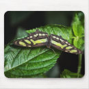 Search for winged insect mouse mats Green