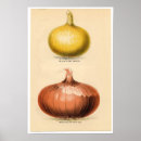 Search for vegetable art Flower