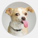 Search for rude stickers Cute