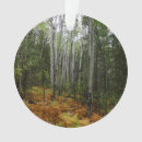 Search for birch trees christmas tree decorations Nature