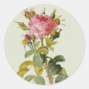 Search for redoute stickers Botanical