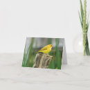 Search for canaries cards Bird