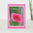 Search for annuals cards Garden