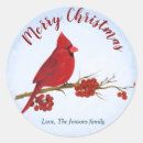 Search for red cardinal bird stickers Merry christmas
