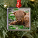 Search for farm christmas tree decorations Livestock