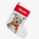 Search for grey dog christmas stockings Dogs