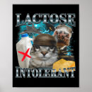 Search for cat meme posters Costume
