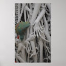 Search for rex posters Reptile