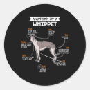 Search for whippet dog stickers Greyhound