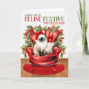 Search for birman cat Pets
