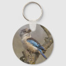 Search for kookaburras key rings Laughing