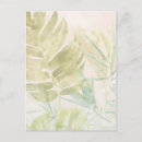 Search for tropical greenery postcards Coastal