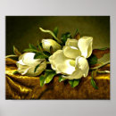 Search for velvet posters Martin johnson heade