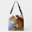 Search for red squirrel bags Squirrels