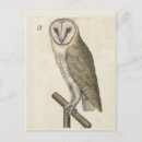 Search for bird print postcards Animals