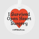 Search for surgery christmas tree decorations Heart