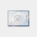 Search for cute seal pup Animals in the wild