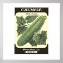 Search for cucumber posters Retro