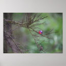 Search for paintball posters Speedball
