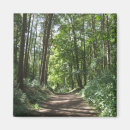 Search for forest walk magnets Woods
