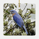 Search for bluebird christmas tree decorations Nature