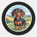 Search for dachshund cartoon stickers Animal