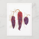 Search for chili postcards Spicy