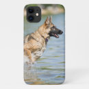 Search for shepherds cases Cute