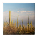 Search for arid tiles Dry