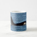 Search for killer whale mugs Orca