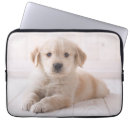 Search for featured cases Cute