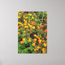 Search for vintage botanical canvas prints Elegant