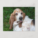 Search for silly faces postcards Humourous