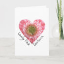 Search for gerbera cards Daisy