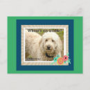 Search for dog horizontal postcards Food