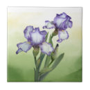 Search for pretty tiles Purple