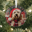 Search for labradoodle christmas tree decorations Golden