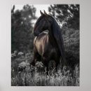 Search for horse pics posters Modern