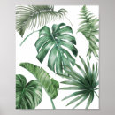 Search for tropical leaves posters Pattern