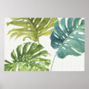 Search for green palm leaf posters Palms