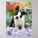 Search for bull terrier art Puppy