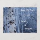 Search for birch tree save the dates Winter