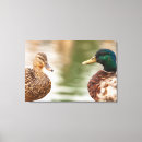 Search for dabble posters Wildlife