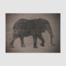 Search for elephant tissue paper Wild animal
