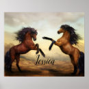 Search for stable posters Stallion