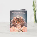 Search for cat proposal Bridal