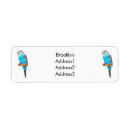 Search for parakeet return address labels Budgerigar