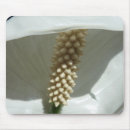 Search for white lily mouse mats Photography