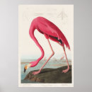 Search for etching posters Bird