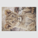 Search for lion tissue paper Cub
